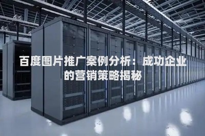 图片推广案例分析:成功企业的营销策略揭秘